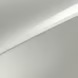 IVORY SILVER